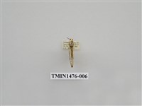 藏品(尺蠖蛾科)的圖片